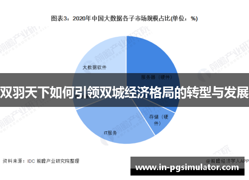 双羽天下如何引领双城经济格局的转型与发展