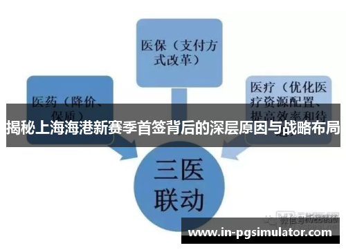 揭秘上海海港新赛季首签背后的深层原因与战略布局