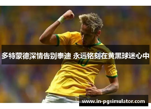 多特蒙德深情告别泰迪 永远铭刻在黄黑球迷心中
