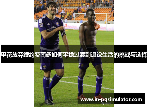 申花放弃续约费南多如何平稳过渡到退役生活的挑战与选择