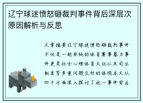 辽宁球迷愤怒砸裁判事件背后深层次原因解析与反思 辽宁球迷愤怒砸裁判事件背后深层次原因解析与反思