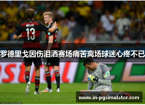 罗德里戈因伤泪洒赛场痛苦离场球迷心疼不已 罗德里戈因伤泪洒赛场痛苦离场球迷心疼不已