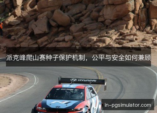 派克峰爬山赛种子保护机制,公平与安全如何兼顾 派克峰爬山赛种子保护机制,公平与安全如何兼顾